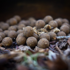 Boilies