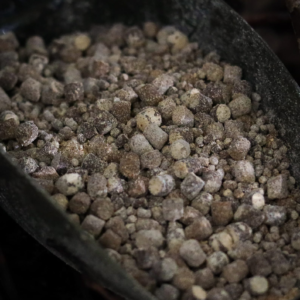 Primal Nut Pellets