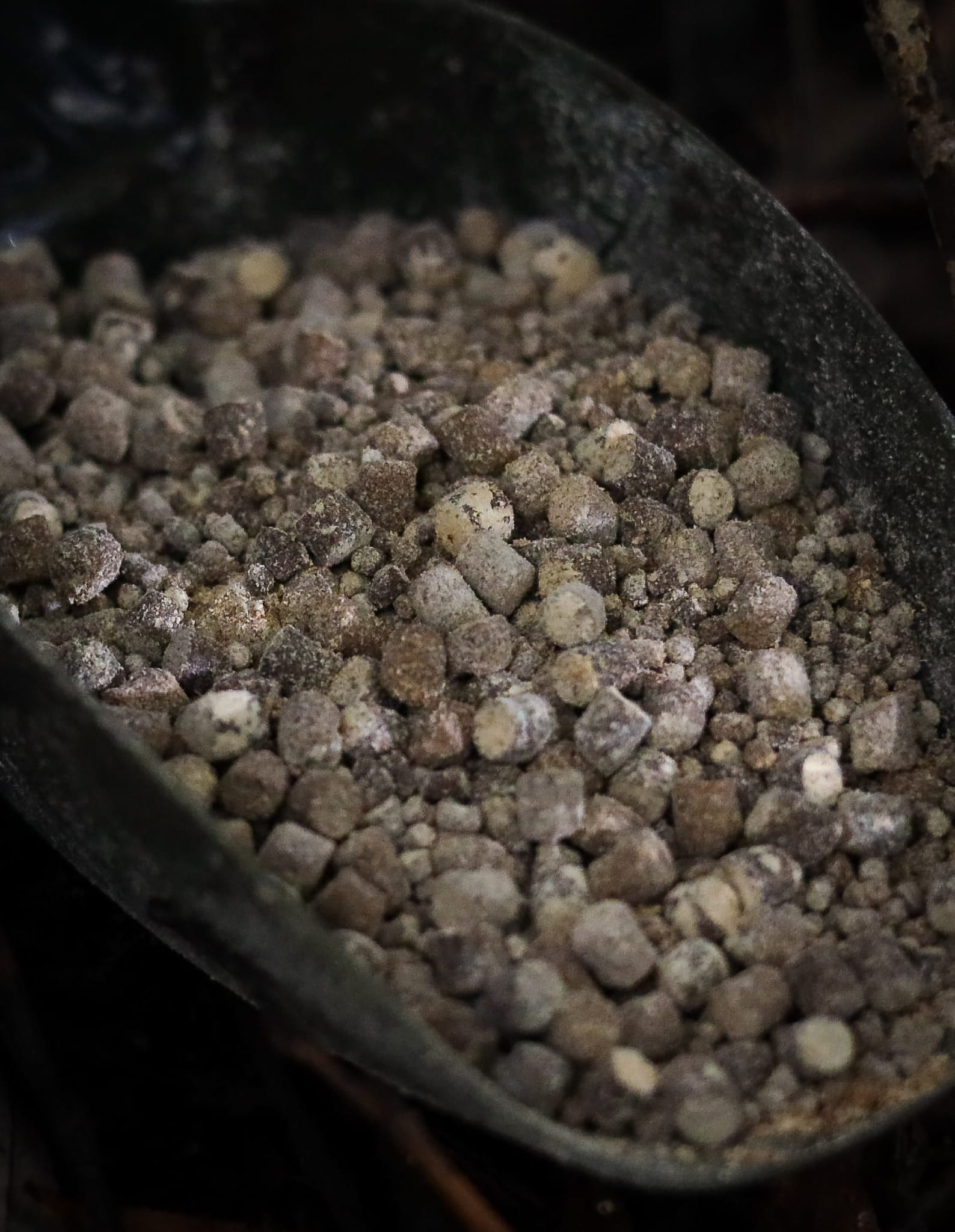 Primal Nut Pellets